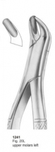 Fig. 20L upper molars left 